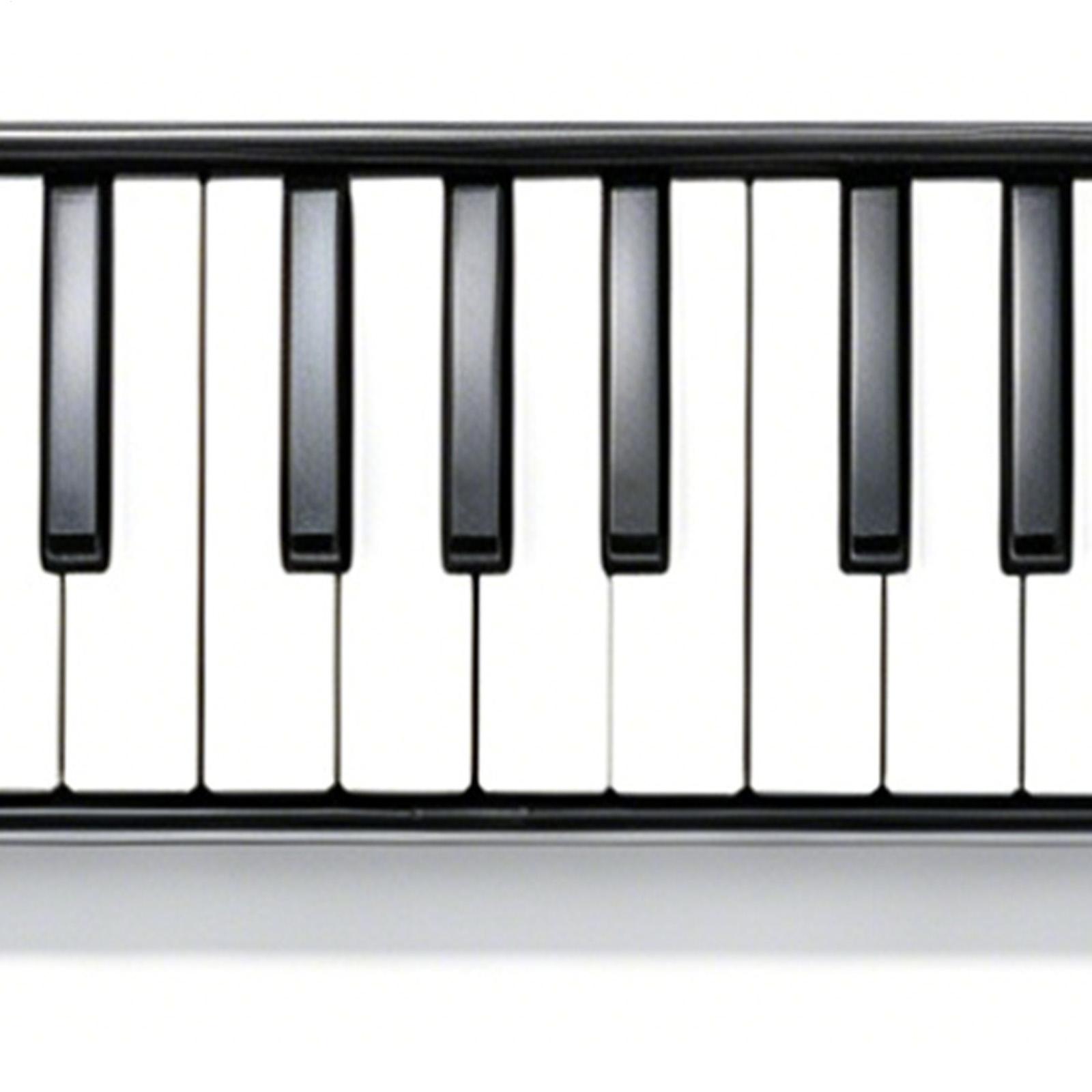 Melodica Instrument 32-Key Por - Musical Instrument Youtube review and price